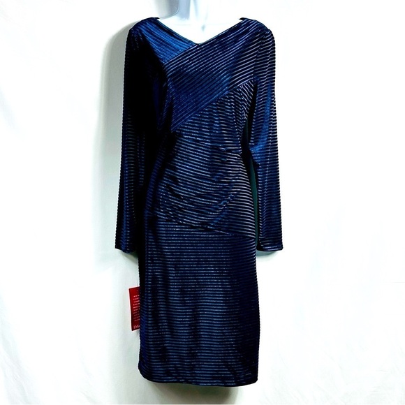 Adrianna Papell Dresses & Skirts - NWT Adrianna Papell Women’s Sz 10 Blue Sheer Shimmer Velvety Long Sleeve Dress